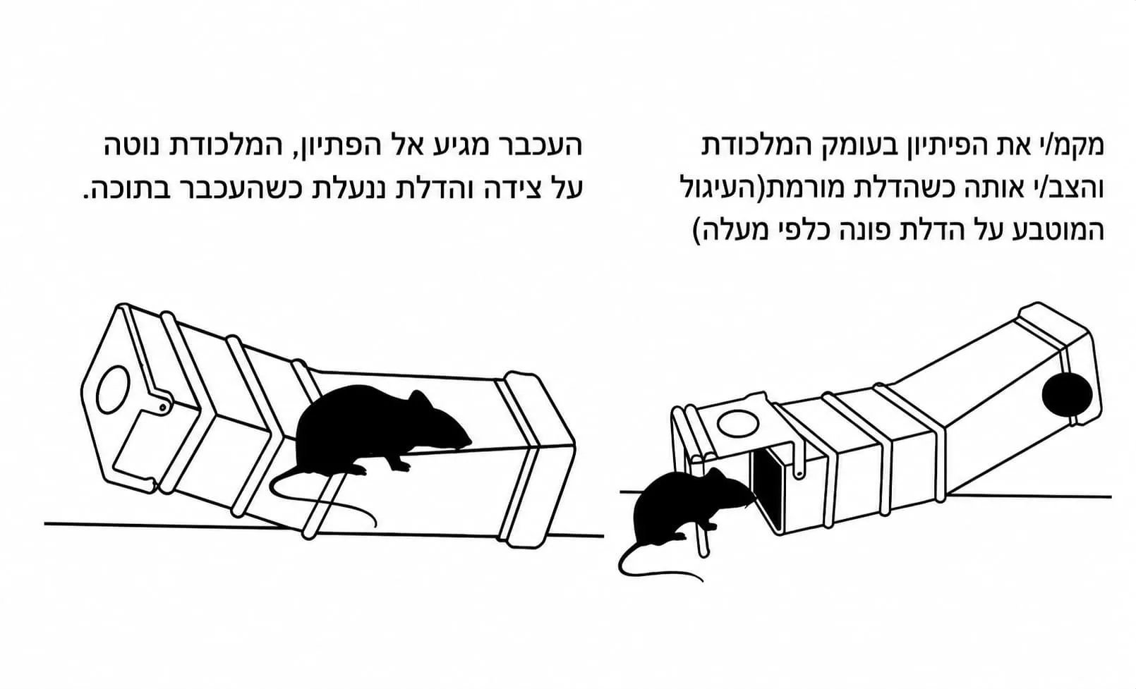 תרשים הוראות להפעלת מלכודת עכברים הומנית ללכידה חיה