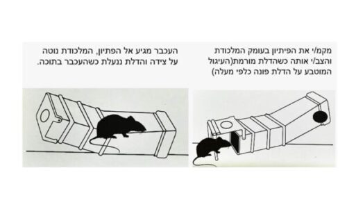 מלכודת עכברים חכמה