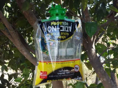 מלכודת זבובים שקית