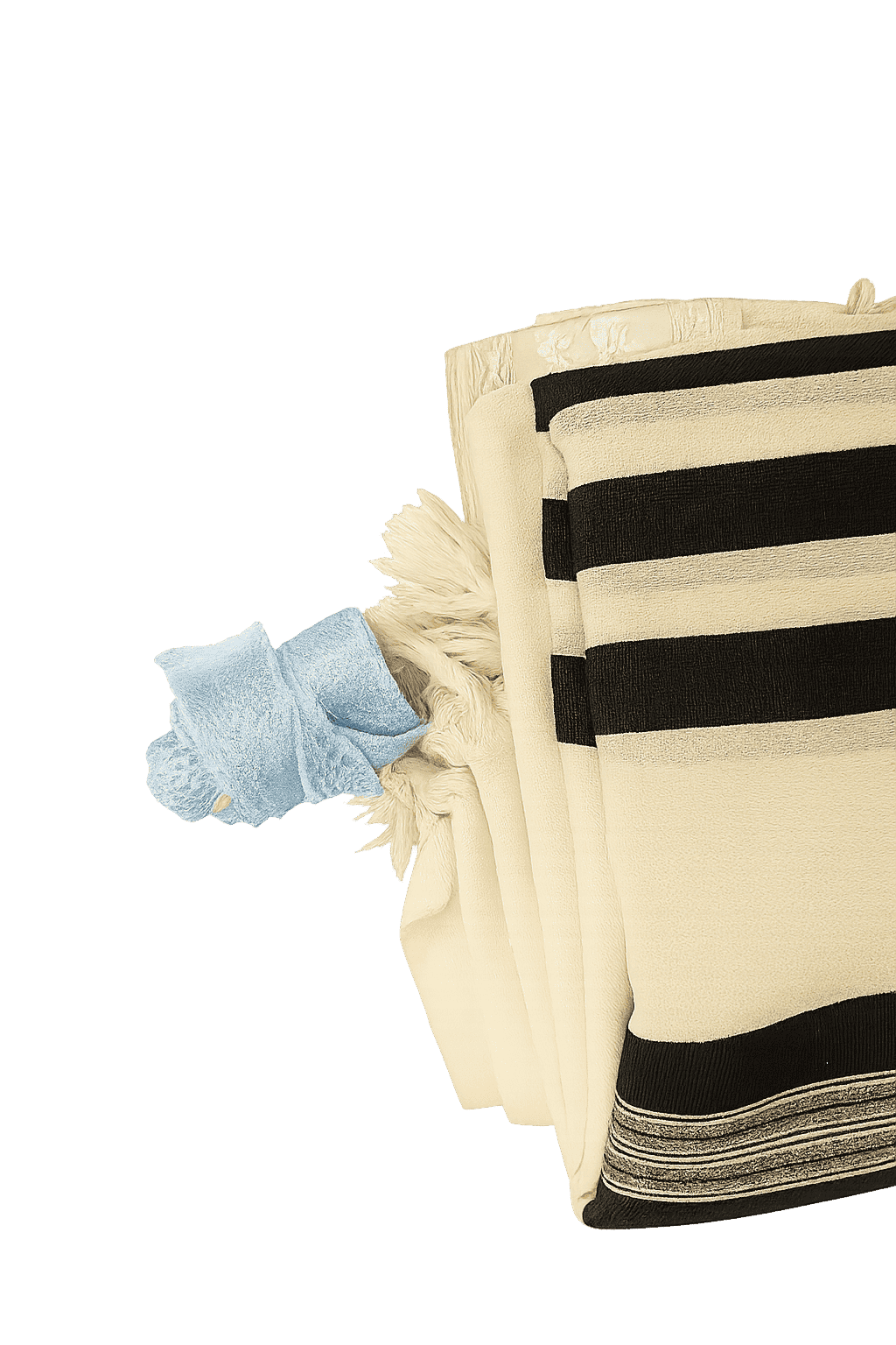 ציצית כיבוס פתרון נשמר